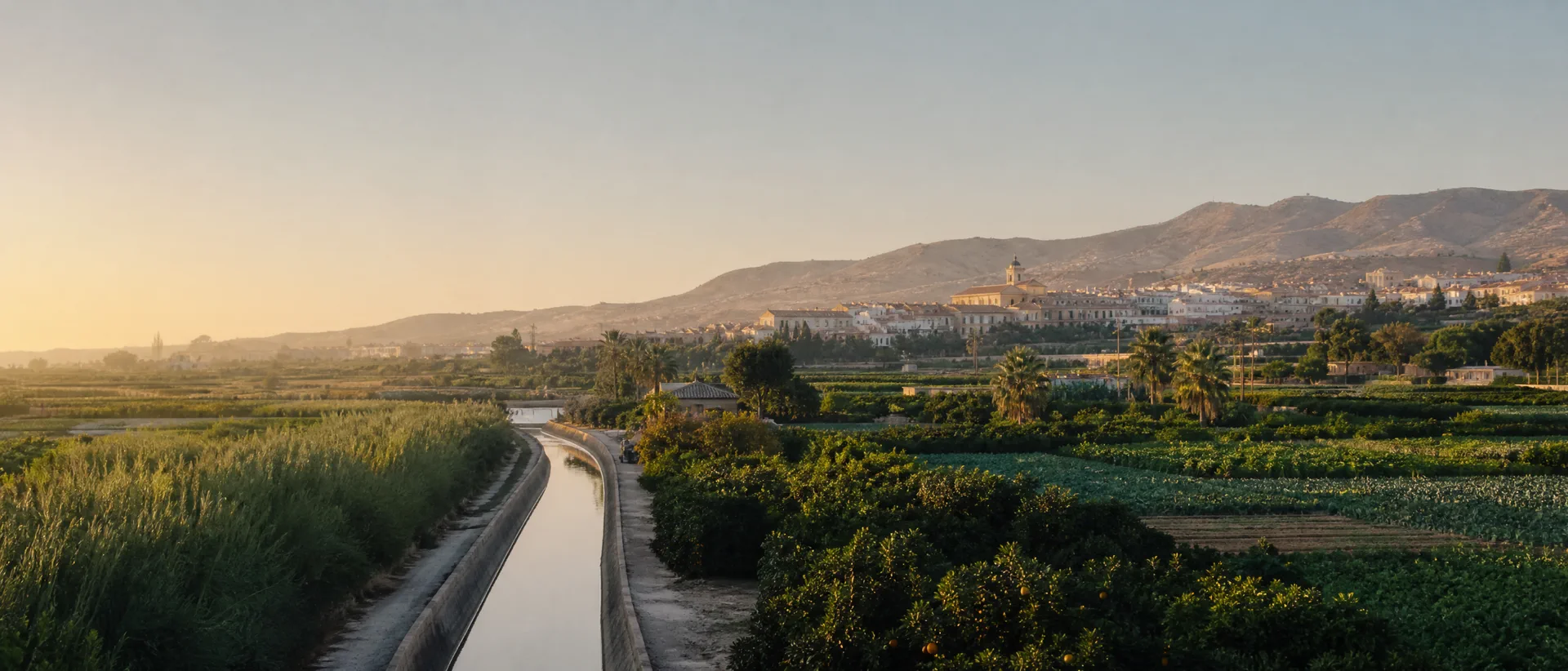 Vista de la huerta murciana al amanecer
